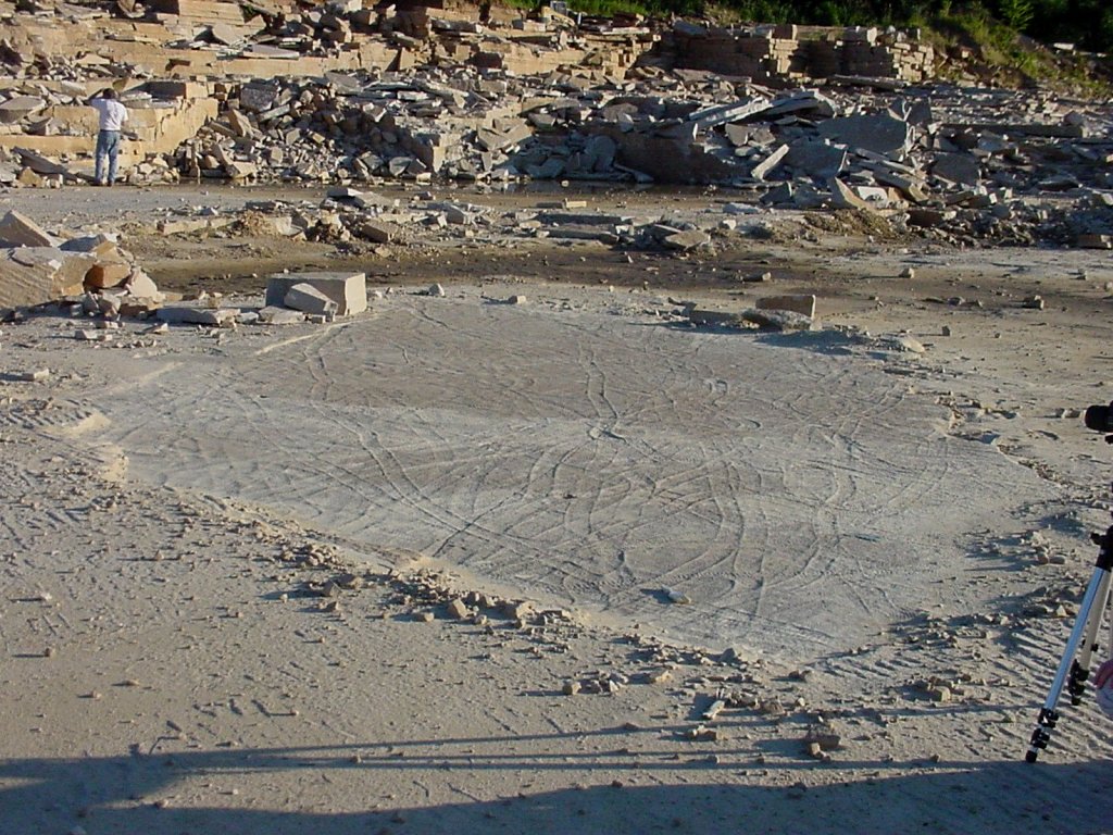 Climactichnites wilsoni