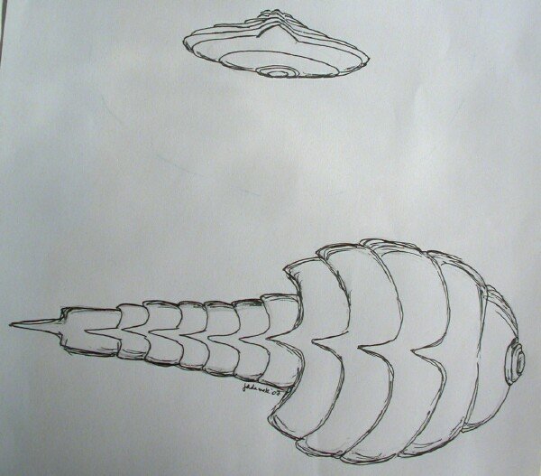 Guangweicaris spinatus Arthropod