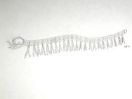 Cardiodictyon Lobopodian