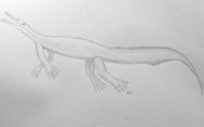 Mesosaurus Art