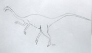 Theropod Dinosaur