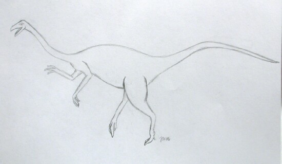 theropod dinosaur