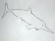 Ichthyosaur