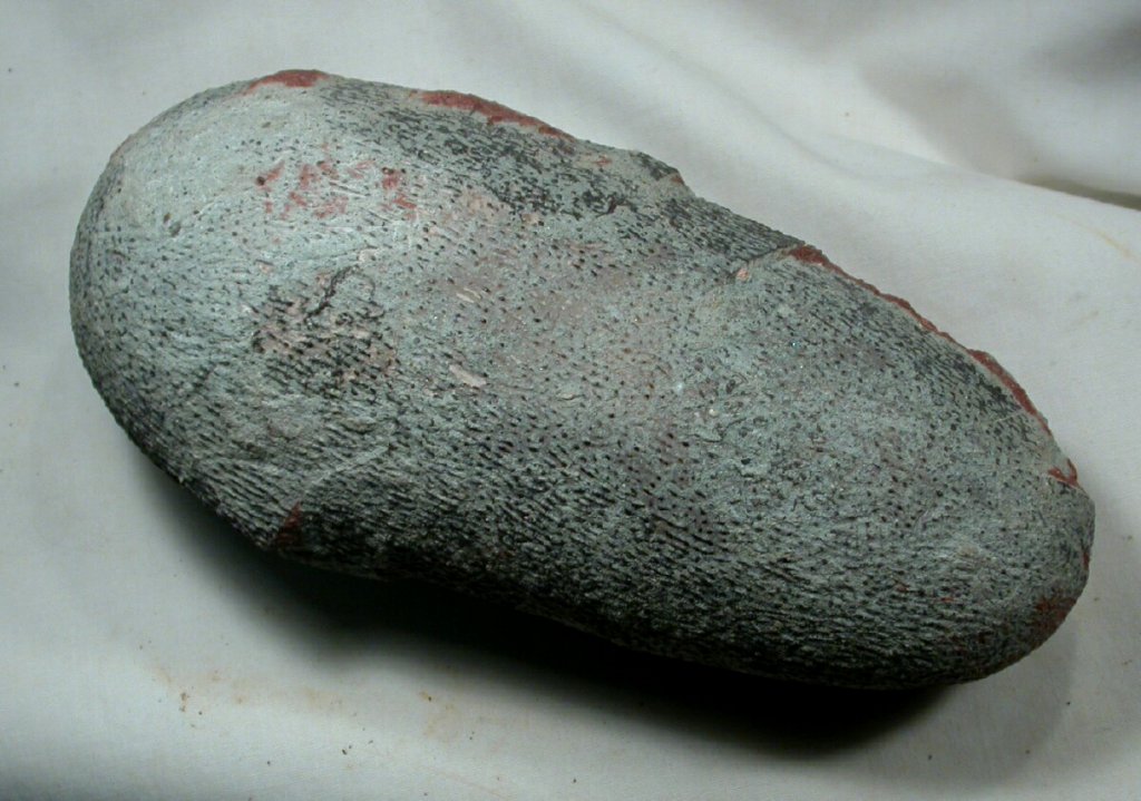Raptor Dinosaur Egg