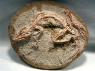 Jeholosaurus Dinosaur Large Picture