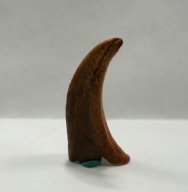 Dinosaur Foot Claw