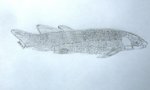 Dipterus fossil fish art