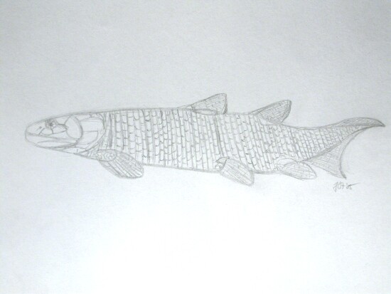 Osteolepis