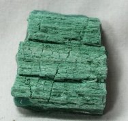 Araucarioxylon Petrified Wood