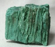 Araucarioxylon arizonicum Petrified Wood