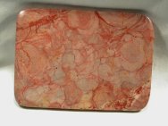 Baicalia Stromatolites
