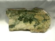 Precambrian Stromatolites