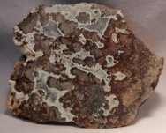 Mawsonia madaginia Stromatolites