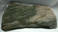 Stromatolites from Famous Gunflint