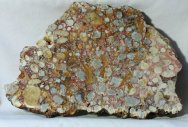 Mesozoic Oncolytic Stromatolites