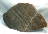 Archaean Stromatolites from Wyoming