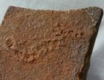 Horodyskia williamsi Oldest Multicellular Fossils