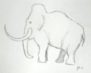 Wooly Mammoth