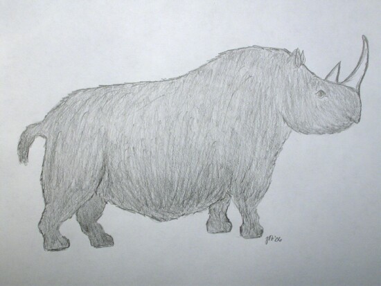 artistic rhino