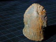 Lambeosaur Hadrosaurid Fossil 