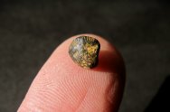 Hell Creek Dinosaur Tooth