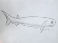 Acanthodian
