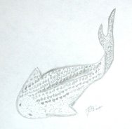 Fossil Fish Lanarkia