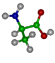 Alanine, one of the 23 amino acids that survived chemical evolution