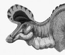 Lambeosaurus