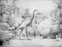 Struthiomimus Dinosaur