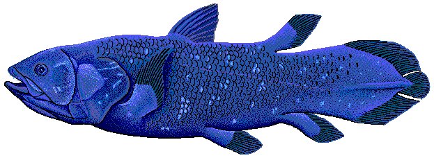 Coelacanth 