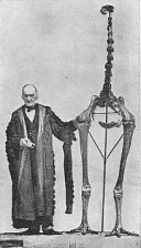 Sir Richard Owen and Dinornis (Moa) skeleton