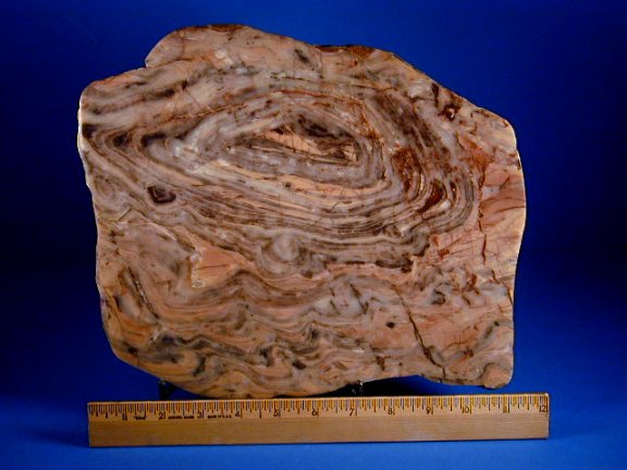 Lower Proterozoic Stromatolite - Rare Massive Girvanella