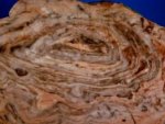 Girvanella Stromatolites