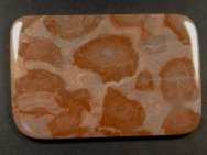 Stromatolite Baicalia from China