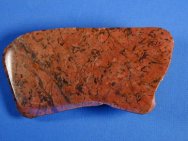 Collenia Form of Proterozoic Stromatolite