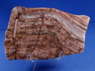 Proterozoic Stromatolites