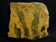 Paleoproterozoic Australian Stromatolite