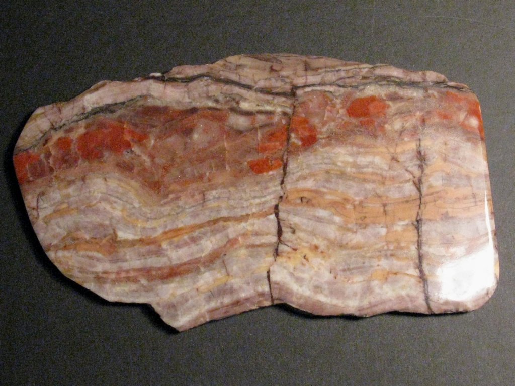 Lower Proterozoic Stromatolite from Michigan