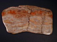 Stromatolites with Rhodochrosite