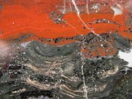 Stromatolites closeup