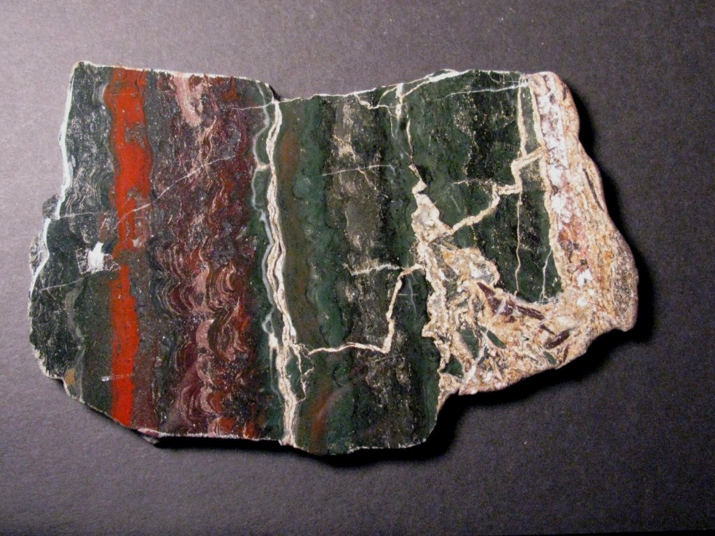 Precambrian Stromatolite Collenia undosa