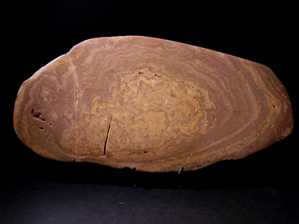 Domal Cryptozoan Stromatolites