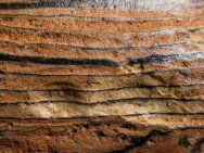 Green River Stromatolites