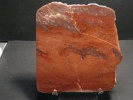 Archaean Stromatolites