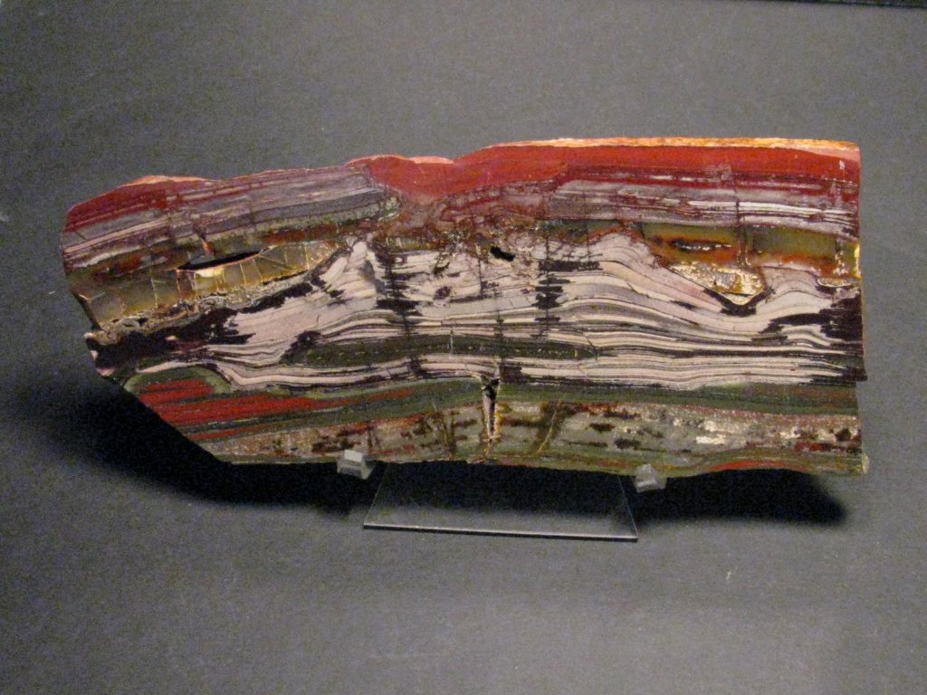 Archaean Stromatolites