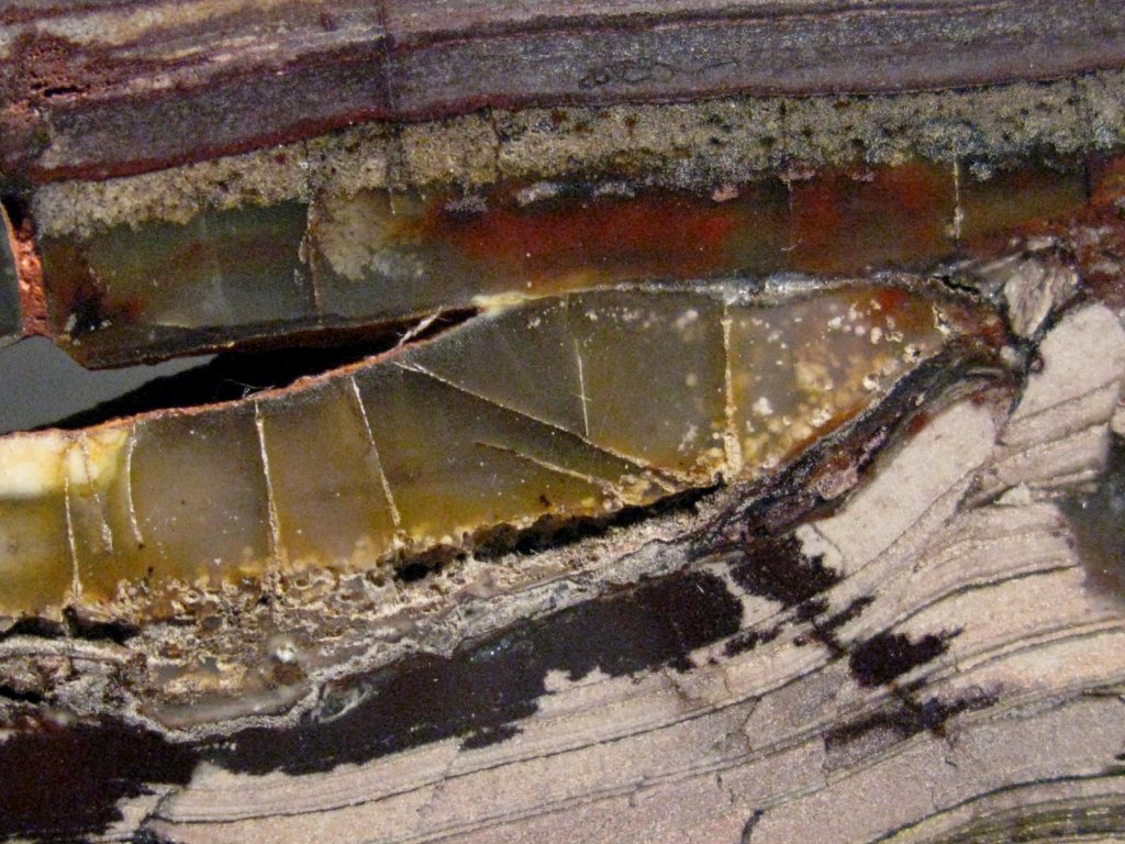 Archaean Stromatolites