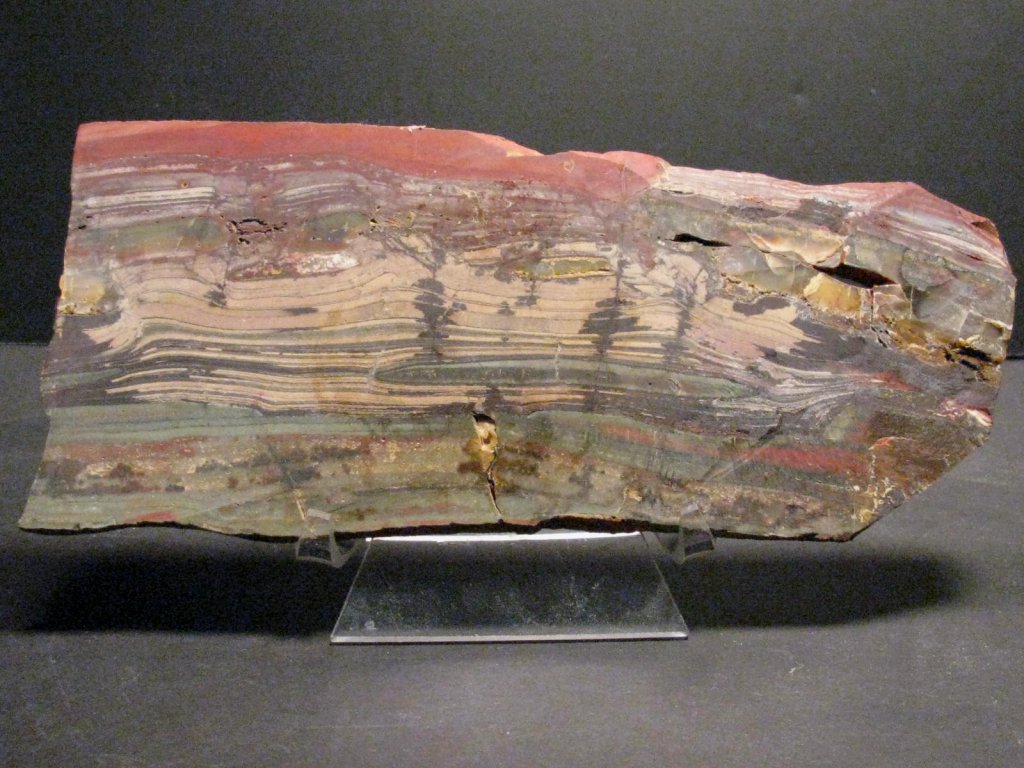 Archaean Stromatolites