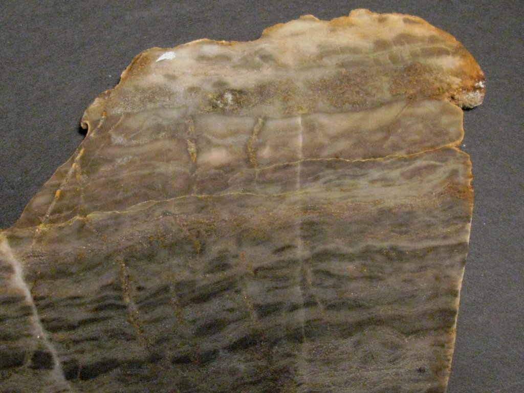 Archaean Stromatolites from Wyoming