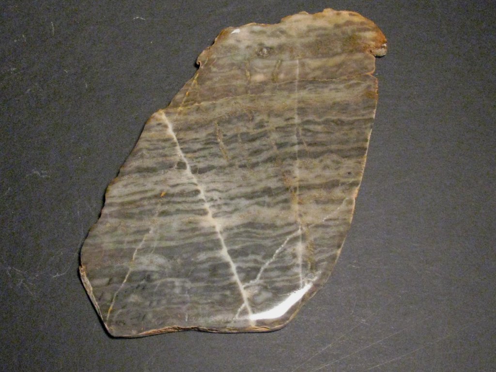 Archaean Stromatolites from Wyoming